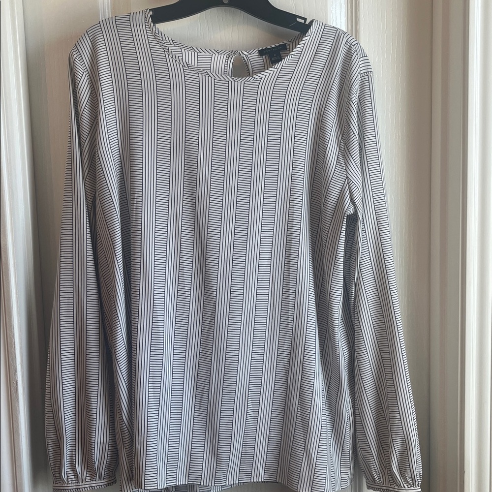 Ann Taylor Black and White Striped Blouse